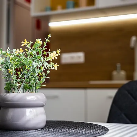 Perfect Near Sea Garden 3 *